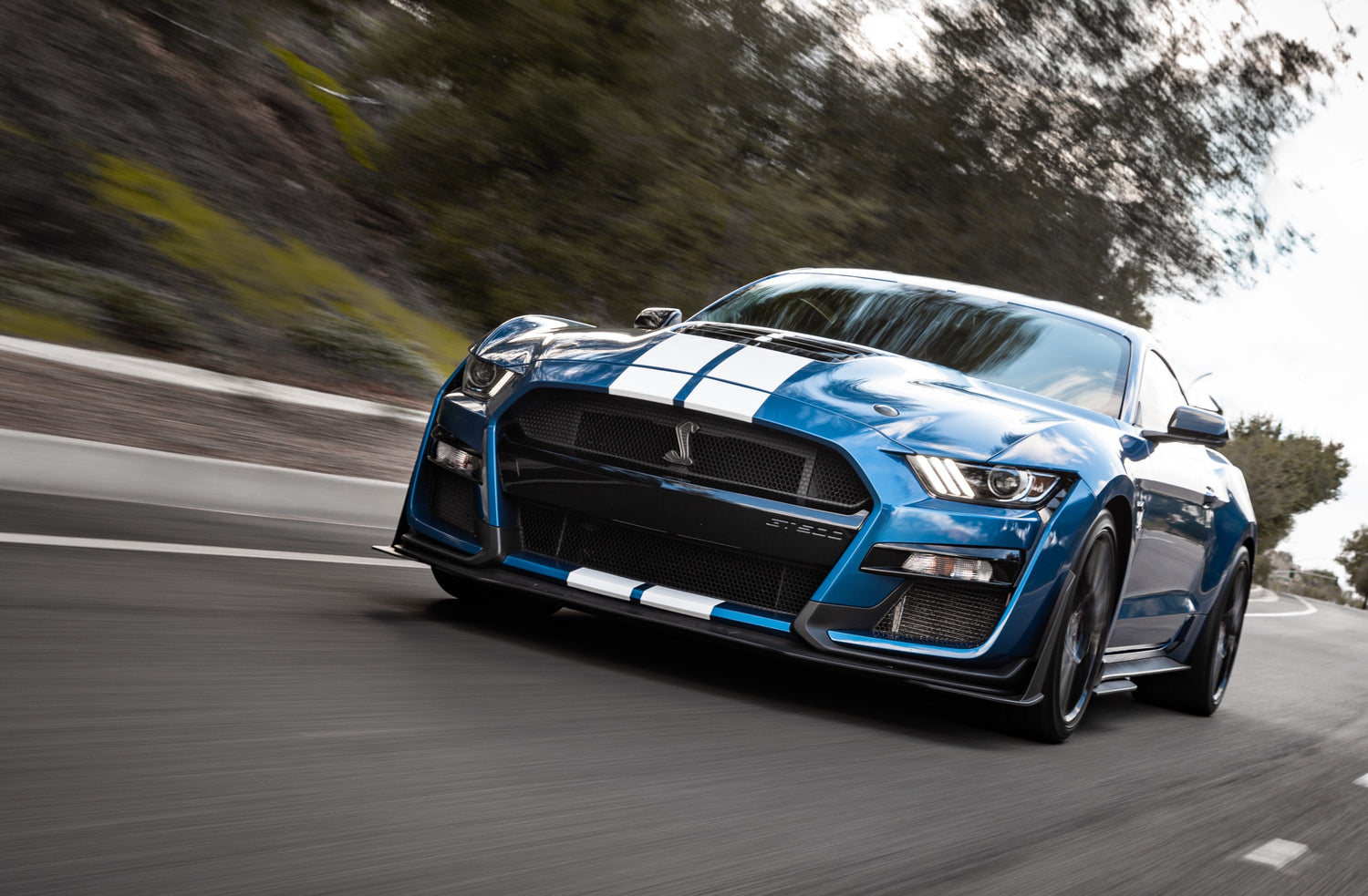 2023 Ford Mustang Shelby GT500